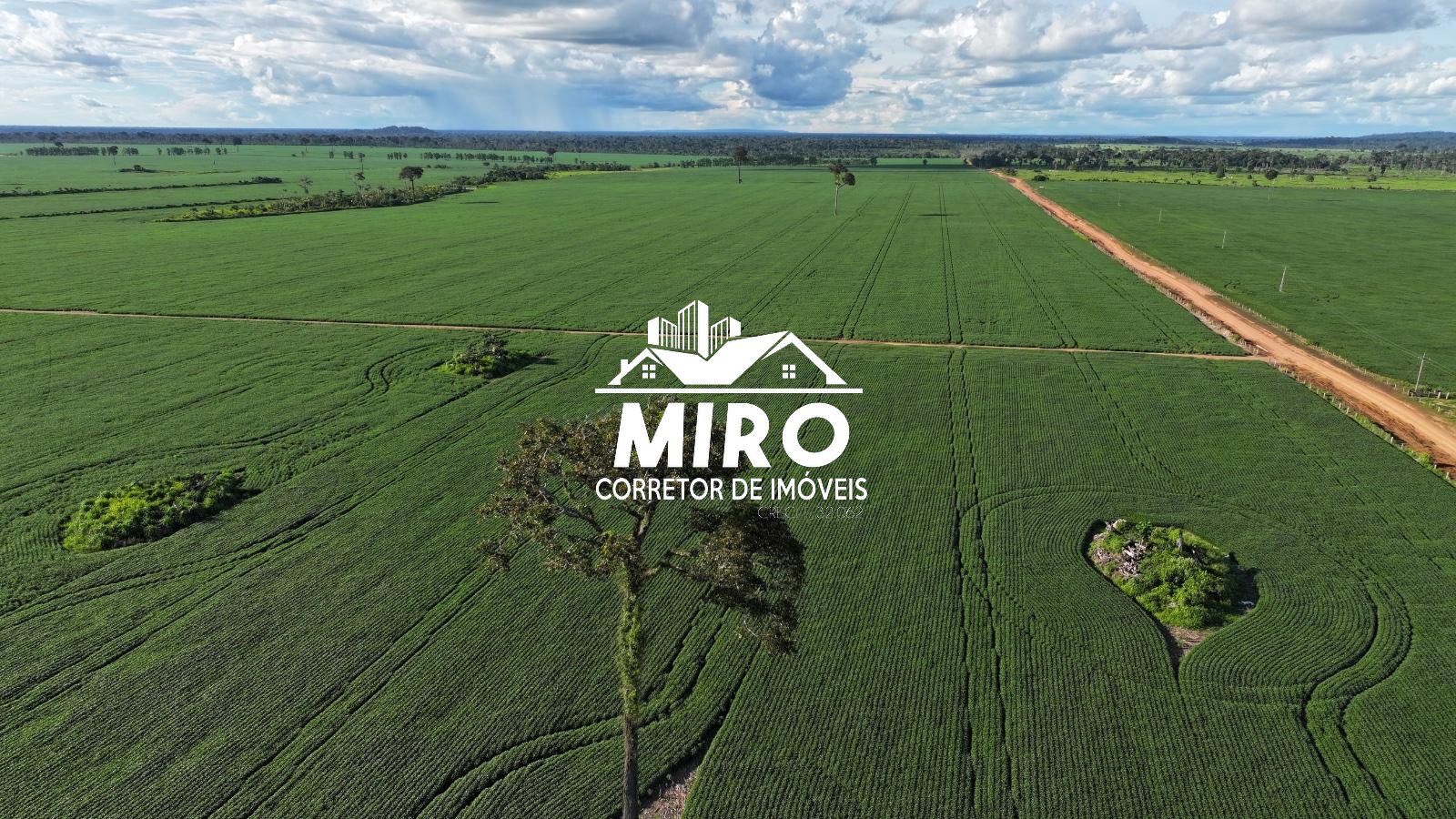 Imagem 3 de Fazenda à Venda em Rondônia – Região Vale do Guaporé, á 10 km da BR-429